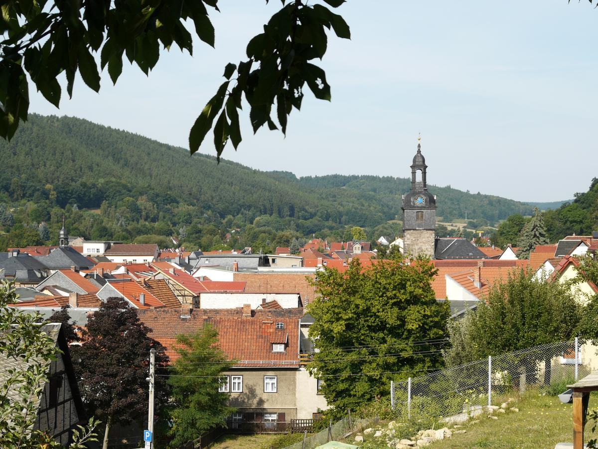 Ferienwohnung Haus "Anna" Bad Blankenburg Buitenkant foto